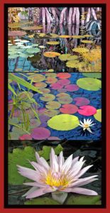 f2 conservatory copy copy