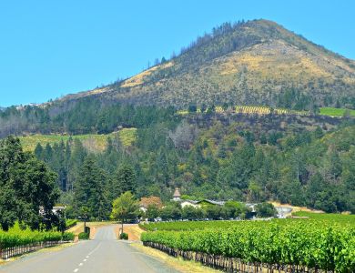 b22  chateau st. jean