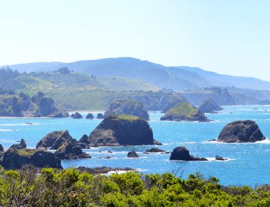 c2 elk pan             copy