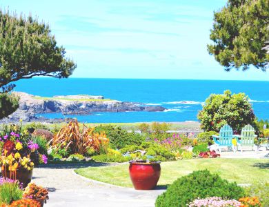 c6 garden of house for sale          copy