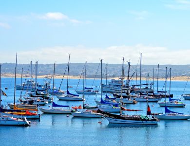 f1 monterey bay boats