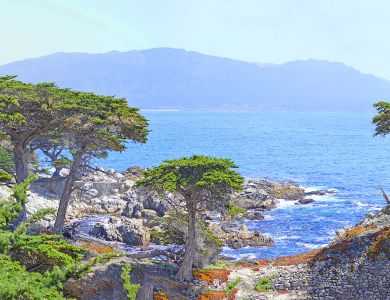 f5 lone cypress panorama      