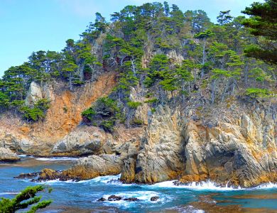 f6 pt. lobos cove panorama      