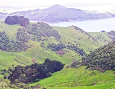 m8 duneden hillside2 copy