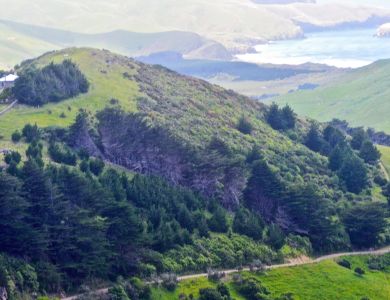 m9 duneden       copy