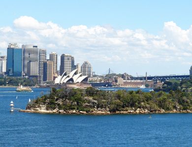 o3 sydney harbor from zoo copy